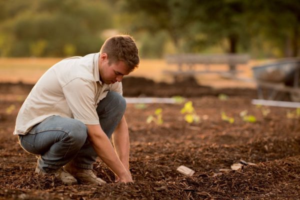 Umwelt, Luft, Natur 5 Berufe für Quereinsteiger